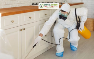 Understanding Spider Activity and General Pest Prevention