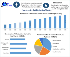 Non-invasive Fat Reduction Market Expansion, Innovation and Investment Trends to 2032 1 Non-invasive Fat Reduction Market Expansion, Innovation and Investment Trends to 2032