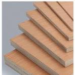 How the Right Plywood Selection Can Improve the Life of Your Interior Projects