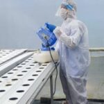 Effective Ways to Keep Your Home Pest-Free in Thrissur