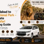 How to Choose an Affordable and Reliable Taxi for Intercity Travel 3 How to Choose an Affordable and Reliable Taxi for Intercity Travel