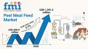 Peel Meal Feed Market Forecast 2026 – 2036: Global Market to Reach USD 1,201.2 Million by 2036 at 5.7% CAGR 1 Peel Meal Feed Market Forecast 2026 – 2036: Global Market to Reach USD 1,201.2 Million by 2036 at 5.7% CAGR