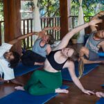 What types of yoga and wellness programs can visitors choose in Rishikesh? 3 What types of yoga and wellness programs can visitors choose in Rishikesh?