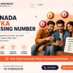 Understanding Old Records, Daily Claims, and Kannada Result Updates