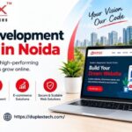 Website Development Company in Noida 3 Website Development Company in Noida