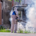 Pest Control Singapore: A Complete Guide to Keeping Your Home and Business Pest Free