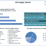 Microalgae Market SMR Snapshot