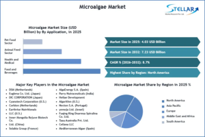 Algae-Derived Nutraceuticals and Dietary Supplements Market Outlook 1 Algae-Derived Nutraceuticals and Dietary Supplements Market Outlook