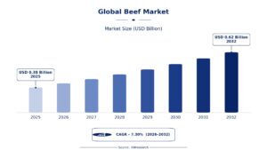 Global Beef Market: Industry Developments and Future Prospects