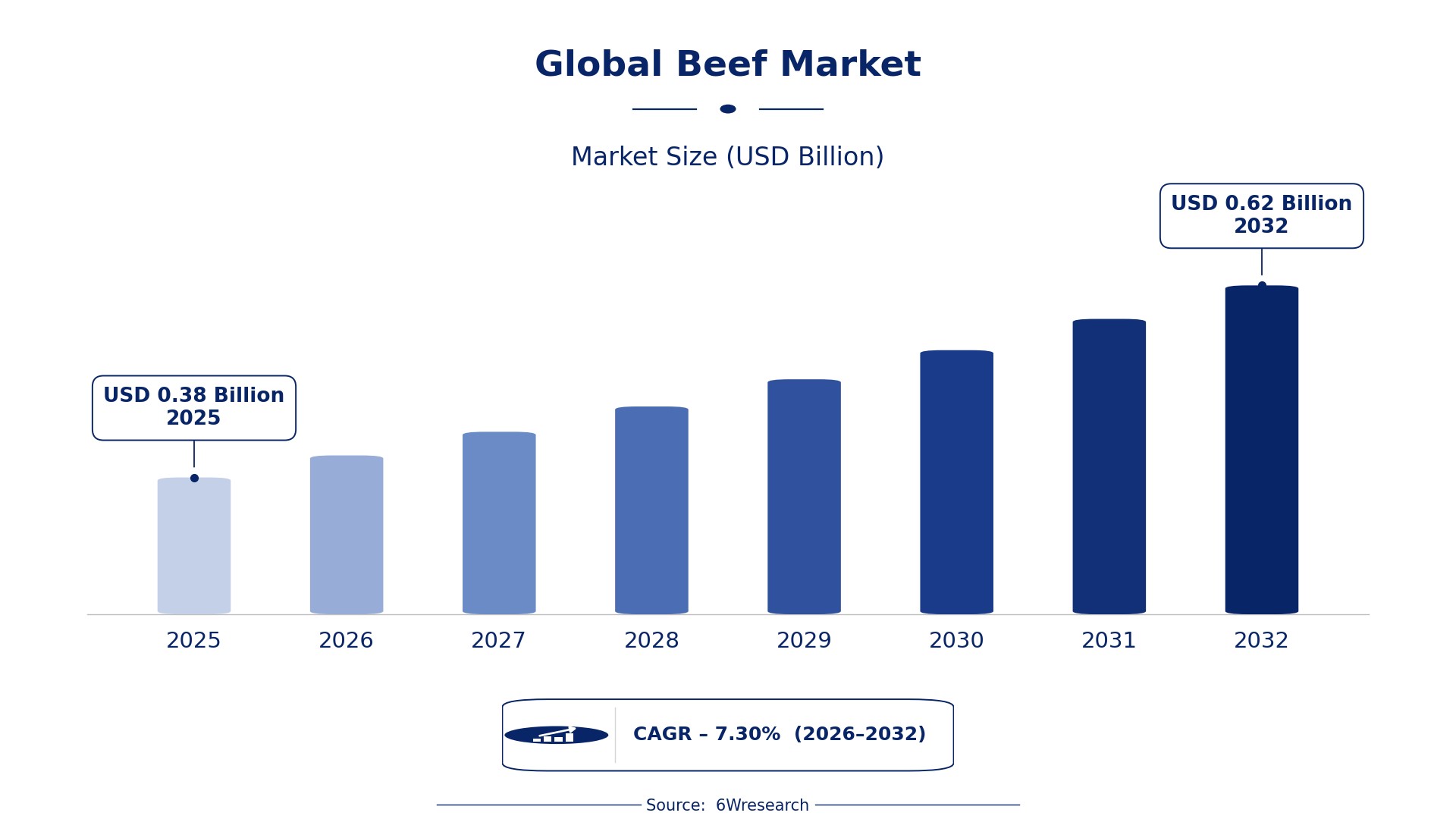 Global beef market
