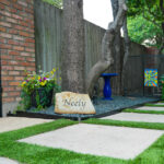 How to Create a More Enjoyable and Practical Southlake Yard 3 How to Create a More Enjoyable and Practical Southlake Yard