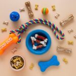 Smarter Accessories and Welfare-First Choices Are Redefining Pet Care in the Netherlands 3 Smarter Accessories and Welfare-First Choices Are Redefining Pet Care in the Netherlands