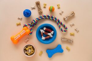 Smarter Accessories and Welfare-First Choices Are Redefining Pet Care in the Netherlands 1 Smarter Accessories and Welfare-First Choices Are Redefining Pet Care in the Netherlands