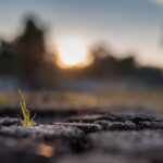 A Journey of Hope and Resilience
