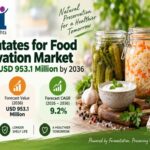 Fermentates for Food Preservation Market to Reach USD 953.1 Million by 2036
