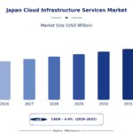 How Is Japan’s Cloud Infrastructure Landscape Entering a New Growth Phase? 3 How Is Japan’s Cloud Infrastructure Landscape Entering a New Growth Phase?
