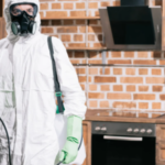 Pest Control in Dwarka – Professional Solutions for a Pest-Free Property