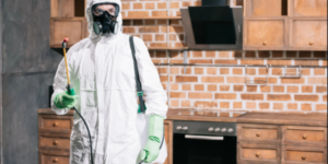 Pest Control in Dwarka – Professional Solutions for a Pest-Free Property 1 Pest Control in Dwarka – Professional Solutions for a Pest-Free Property