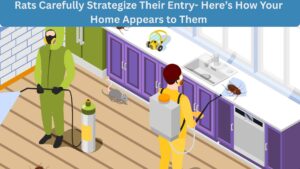 The Landscape Features That Give Ants a Highway to Your House 1 The Landscape Features That Give Ants a Highway to Your House