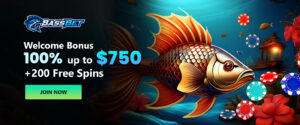 Bassbet Divine Egypt Review: Base Game vs Bonus
