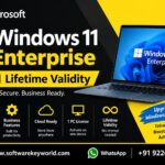 Windows 11 Enterprise 1 PC Lifetime Validity