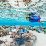 Questions to Ask Before Booking a Snorkeling Tour in Oman