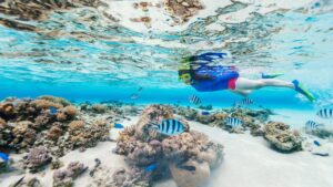 Questions to Ask Before Booking a Snorkeling Tour in Oman