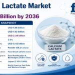 Calcium Lactate Market Expands Beyond Conventional Food Additives of USD 2.34 Billion Industry