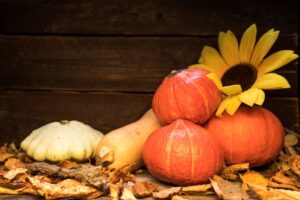 Are Pumpkins, Mums, and Fall Decorations Actually Safe for Pets?