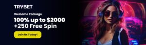 Trybet Insights on Today’s Online Gaming Habits 1 Trybet Insights on Today’s Online Gaming Habits