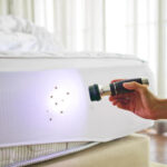How Does Bed Bug Heat Treatment in Jacksonville FL Work? 3 How Does Bed Bug Heat Treatment in Jacksonville FL Work?