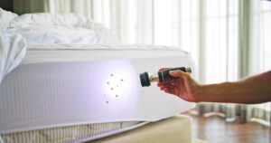 How Does Bed Bug Heat Treatment in Jacksonville FL Work?