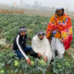 F1 Hybrid Seeds Company – Supporting Modern Agriculture with Quality Seeds
