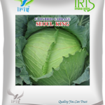 F1 Hybrid Cabbage Seoul King Seeds: A Reliable Choice for Modern Farming