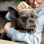 Essential Bulldog Grooming Tips for a Clean and Healthy Pup