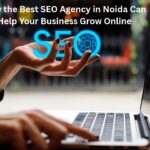 How the Best SEO Agency in Noida Can Help Your Business Grow Online