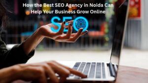 How the Best SEO Agency in Noida Can Help Your Business Grow Online