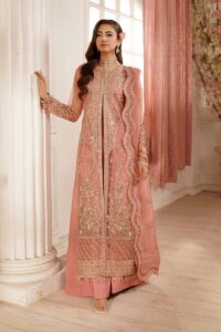 Embellished Fashion: Adding Character to Modern Pakistani Style 1 Embellished Fashion: Adding Character to Modern Pakistani Style