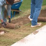 Best Time to Install Zoysia Sod for a Strong and Healthy Lawn 3 Best Time to Install Zoysia Sod for a Strong and Healthy Lawn
