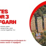Max Estates Sector 3 Najafgarh: Home Planning for Buyers