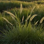 Timothy Grass Prices, Chart, News, Monitor and Forecast Q2 2026 | IMARC Group