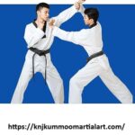 Journey martial arts
