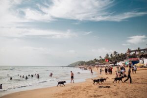 Goa Tour Package: What Should Be Included?