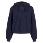 Alexander Wang Hoodie Glitter 300x337 1
