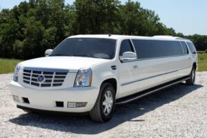 What Makes Limo Service in New York City Useful for Business? 1 What Makes Limo Service in New York City Useful for Business?