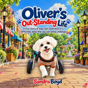 From Challenges to Adventures: The Inspiring Journey of Oliver the Maltese Puppy 1 From Challenges to Adventures: The Inspiring Journey of Oliver the Maltese Puppy