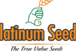 Hybrid Vegetable Seeds Online: Choosing the Right Seeds for Vegetable Cultivation