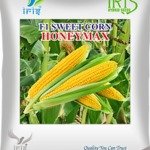 Best Seed Companies in India: Choosing Quality Seeds for Modern Farming