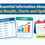 Essential Information About Satta Results, Charts and Updates