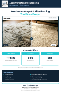 How to Clean a Persian or Oriental Rug in Las Cruces 1 How to Clean a Persian or Oriental Rug in Las Cruces